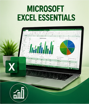 Microsoft Excel Essentials